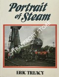 Book cover of Portrait of Steam  by TREACY, Eric 